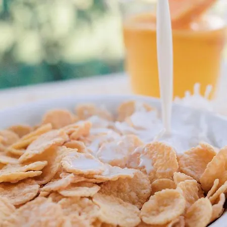 Eleonas Annex Apartamento